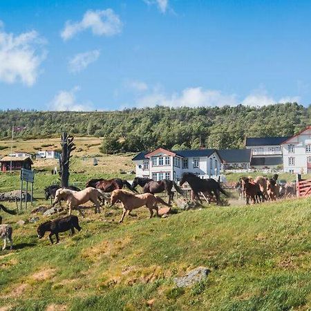 Hjerkinn Fjellstue Eksteriør bilde