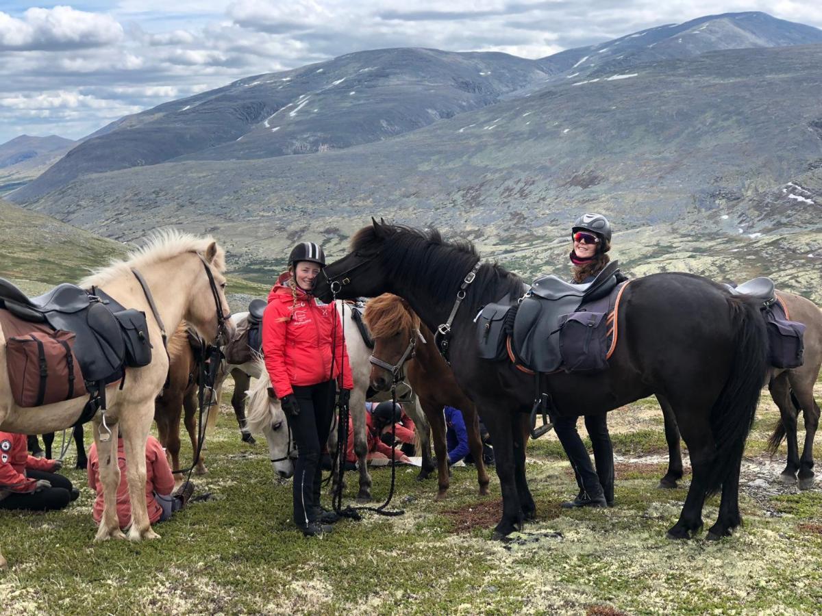 Hjerkinn Fjellstue Eksteriør bilde