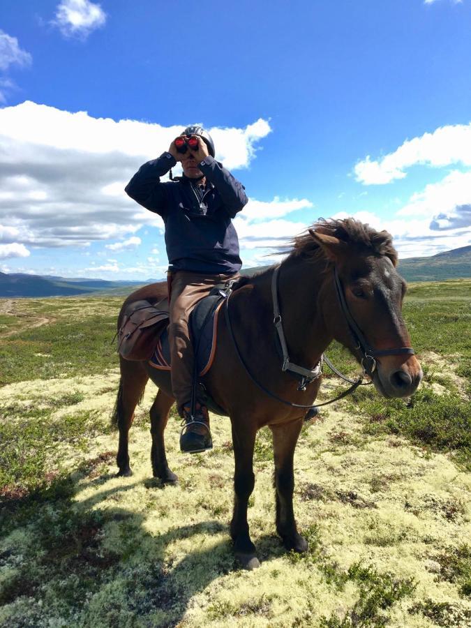 Hjerkinn Fjellstue Eksteriør bilde