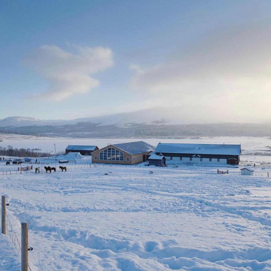 Hjerkinn Fjellstue Eksteriør bilde