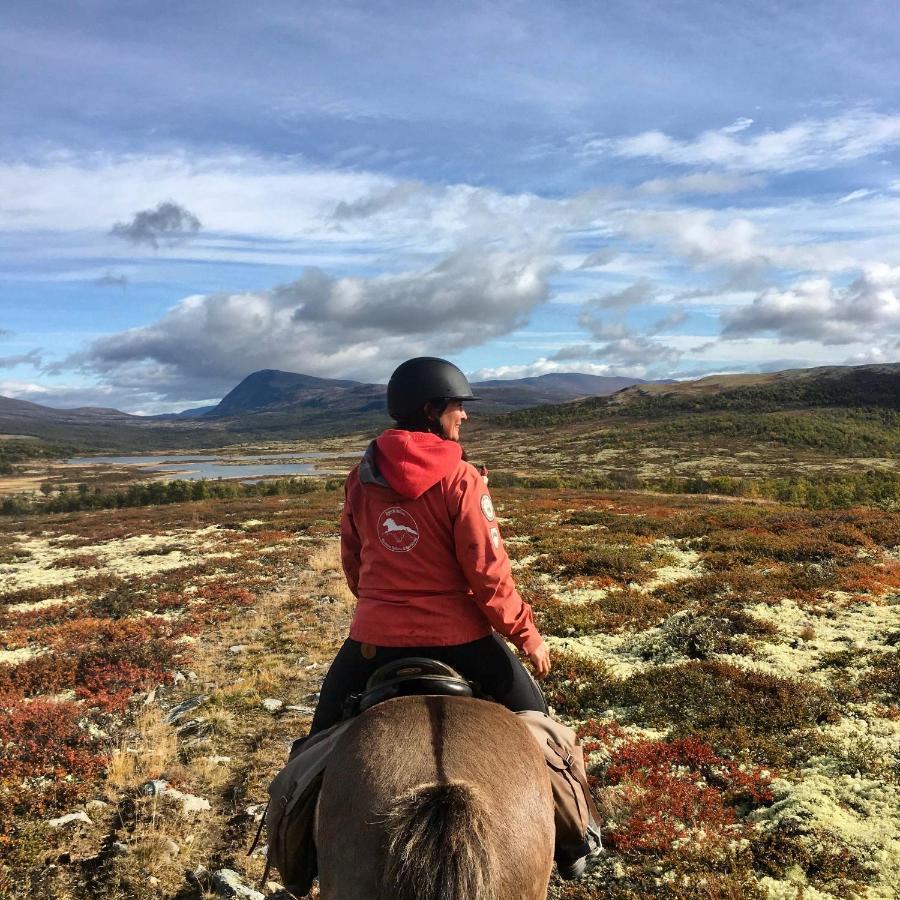 Hjerkinn Fjellstue Eksteriør bilde